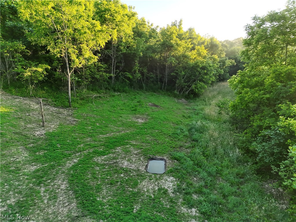 Sykes Ridge Road Clarington, OH 43915 - Photo 41 of 42