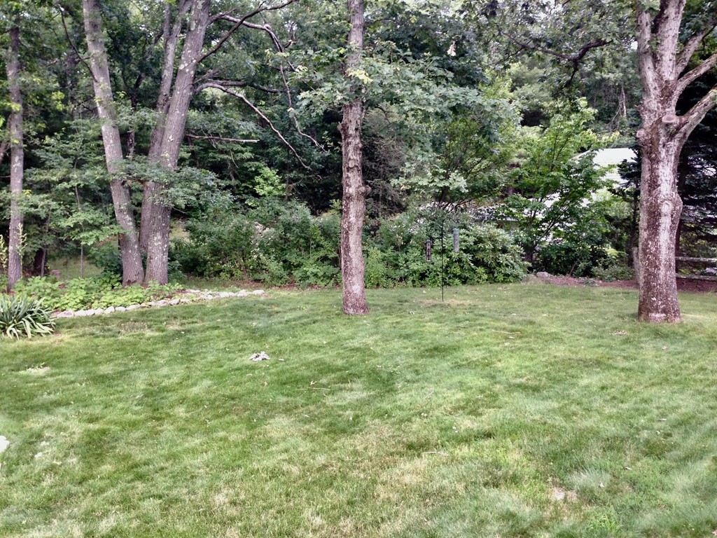 12 Makechnie Road Burlington, MA 01803 - Photo 29 of 30 Gallery Image 29