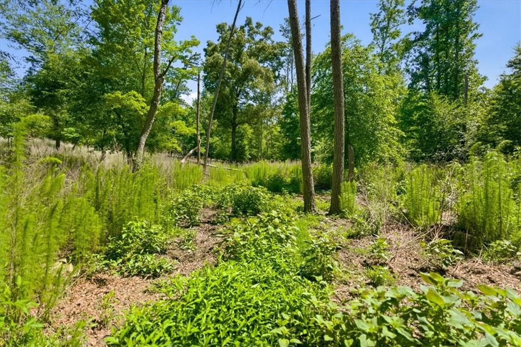 0 Williams Road Southeast Silver Creek, GA 30173 - Photo 27 of 35