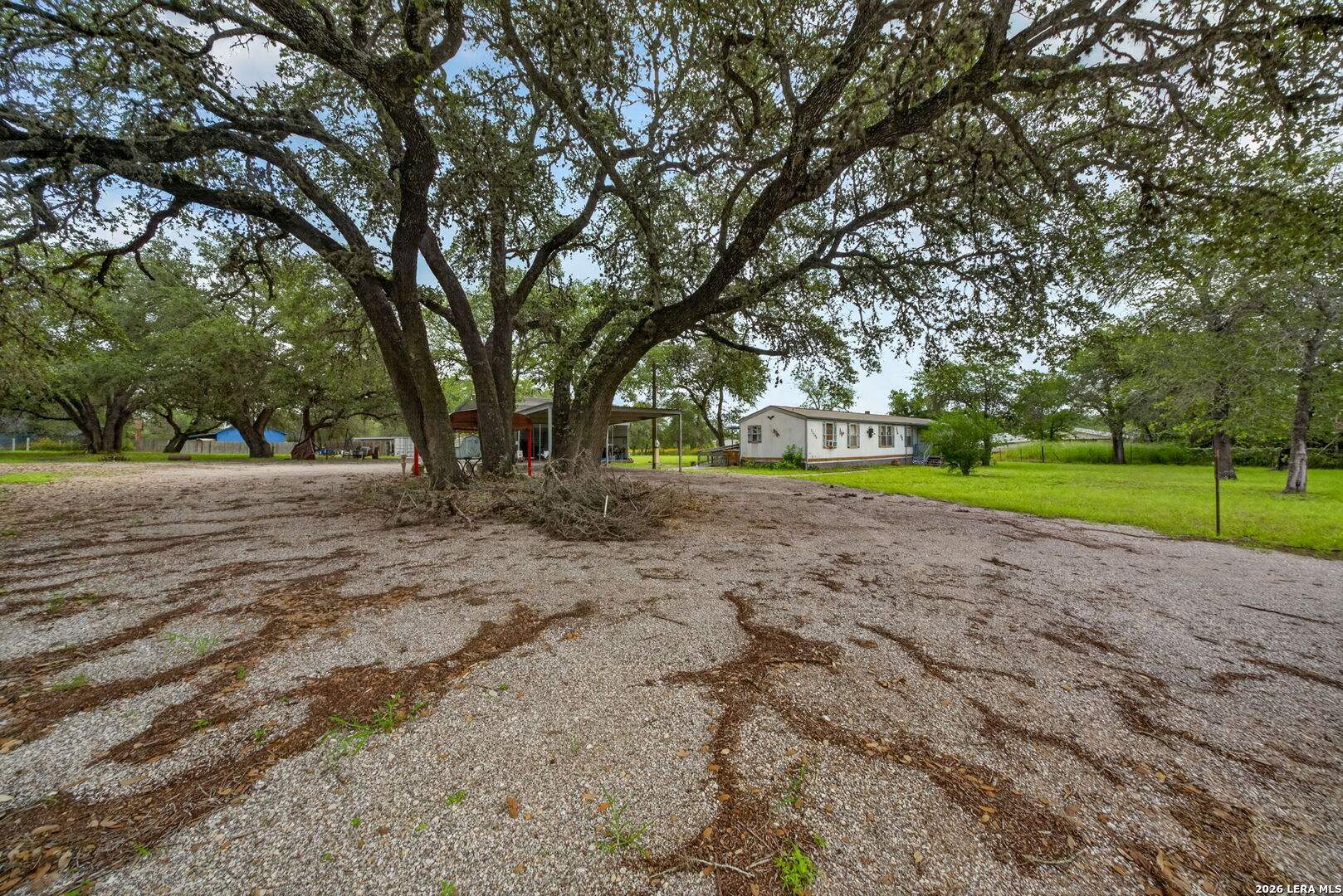 23398 Mathis Road Elmendorf, TX 78112 - Photo 3 of 18 a view of outdoor space with tree s