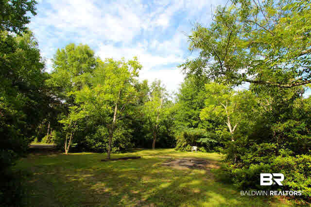 33811 Lost River Road Seminole, AL 36574 - Photo 24 of 24 Yard