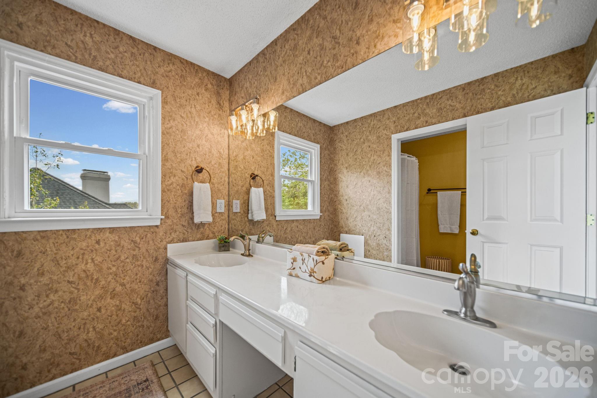 529 Catspaw Road Statesville, NC 28677 - Photo 17 of 48 a bathroom with a sink vanity and a mirror