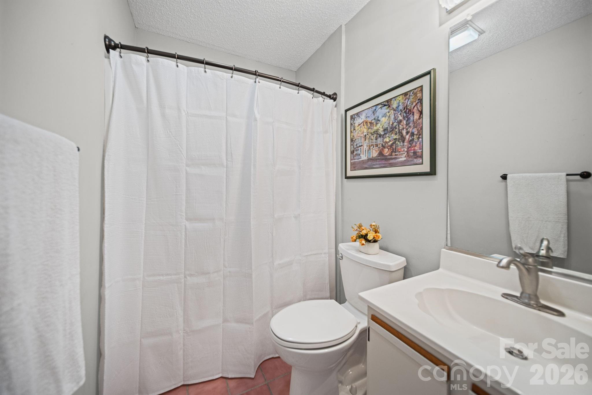 529 Catspaw Road Statesville, NC 28677 - Photo 22 of 48 a bathroom with a sink toilet and vanity