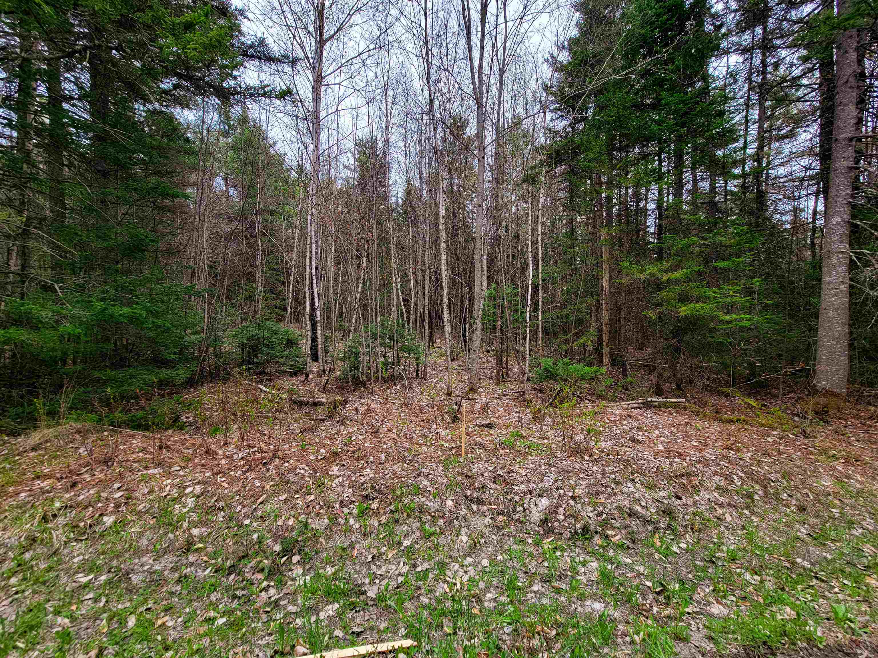 280 Guyette Road Plainfield, VT 05667 - Photo 9 of 38 Gallery Image 9