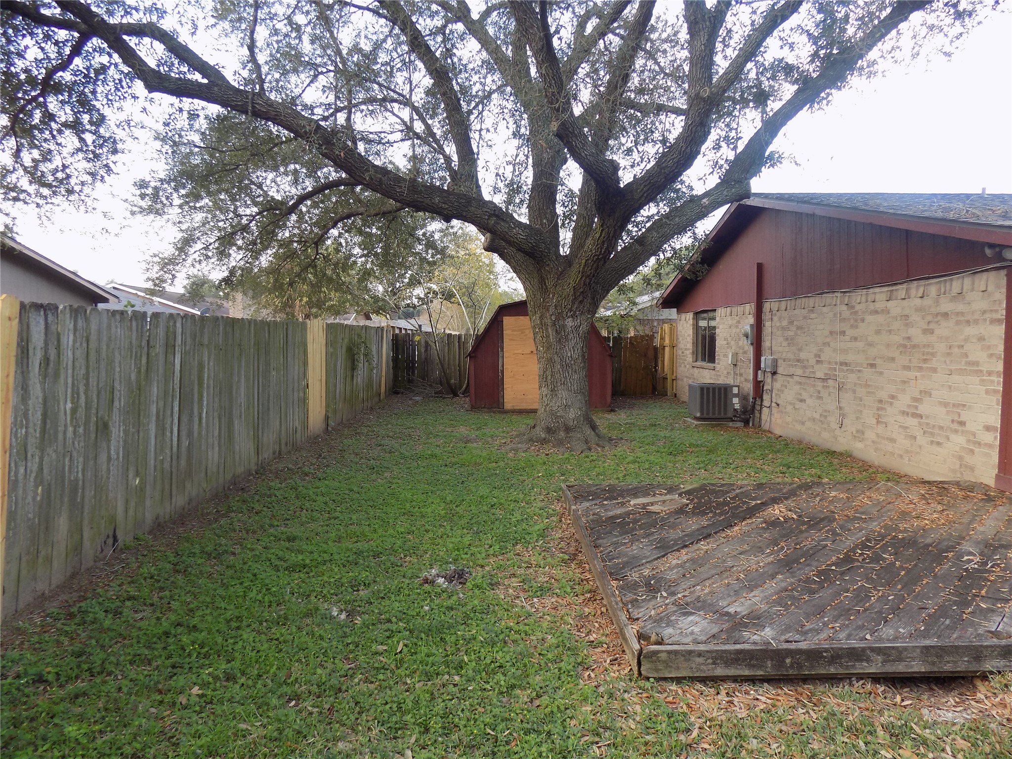 16807 Clan MacIntosh Drive Houston, TX 77084 - Photo 12 of 14 a tree in front of a white house