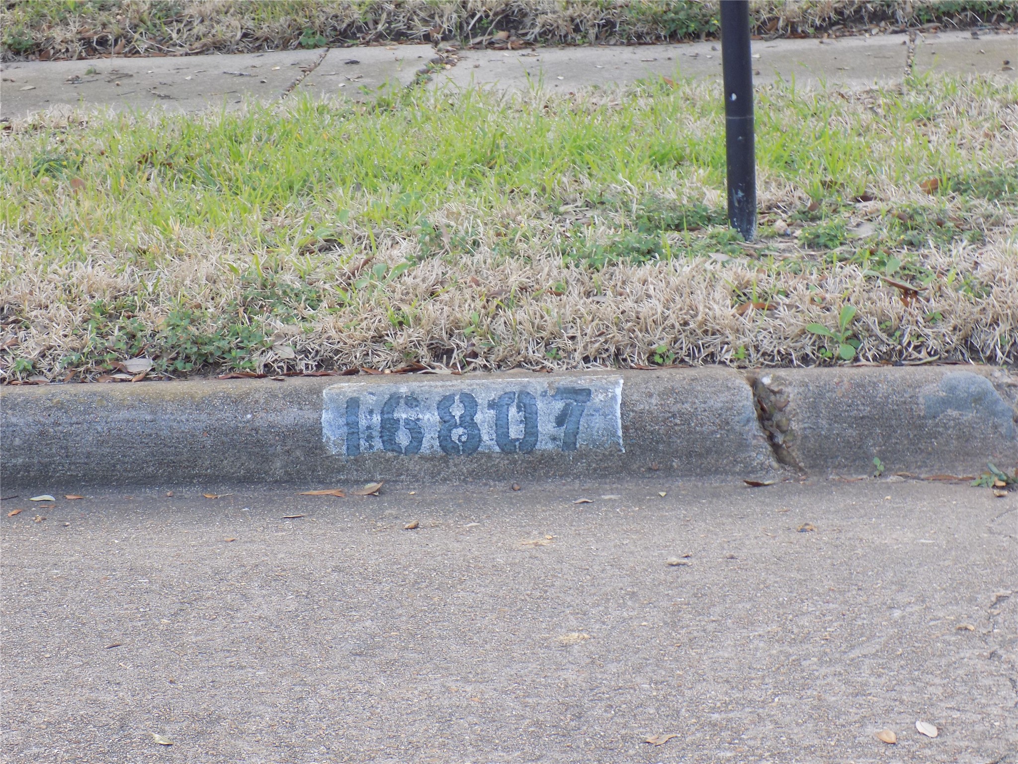 16807 Clan MacIntosh Drive Houston, TX 77084 - Photo 14 of 14 a backyard of a house with lots of green space