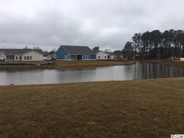 830 Waccamaw River Road Myrtle Beach, SC 29588 - Photo 3 of 40 Gallery Image 3