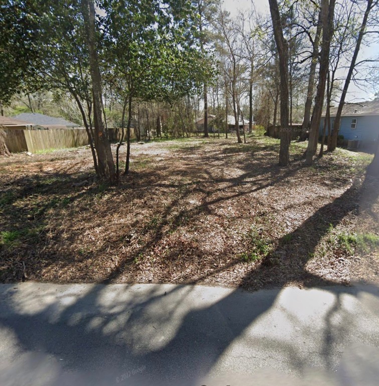 a view of a backyard with large trees