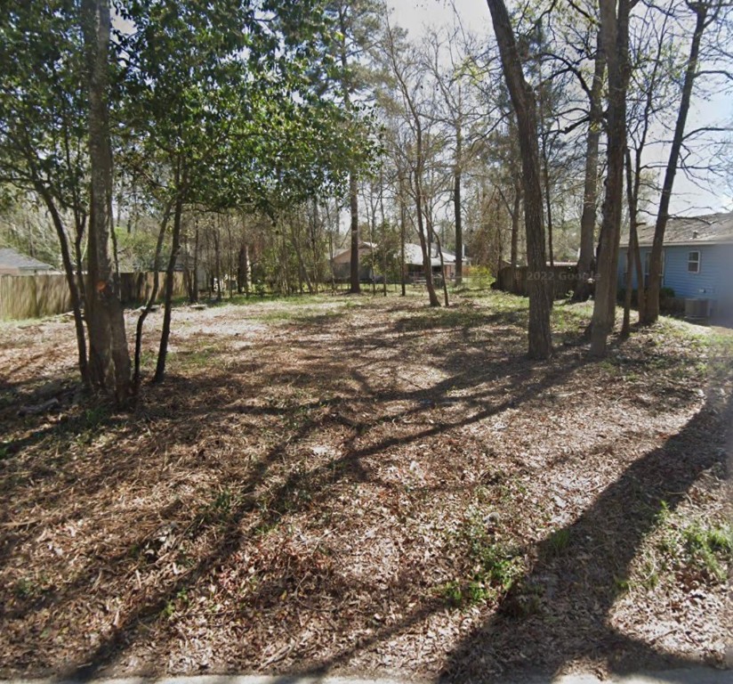 25724 Chestnut Lane Splendora, TX 77372 - Photo 2 of 5 a view of a tree in the middle of a yard
