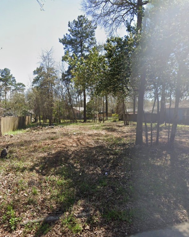 25724 Chestnut Lane Splendora, TX 77372 - Photo 3 of 5 a view of road with trees