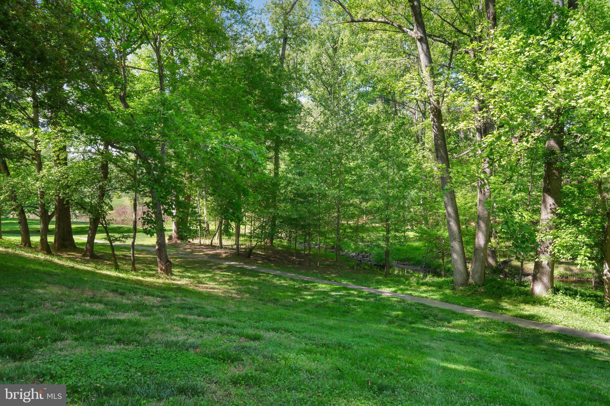 9437 Reach Road Potomac, MD 20854 - Photo 4 of 57 Park/Trails