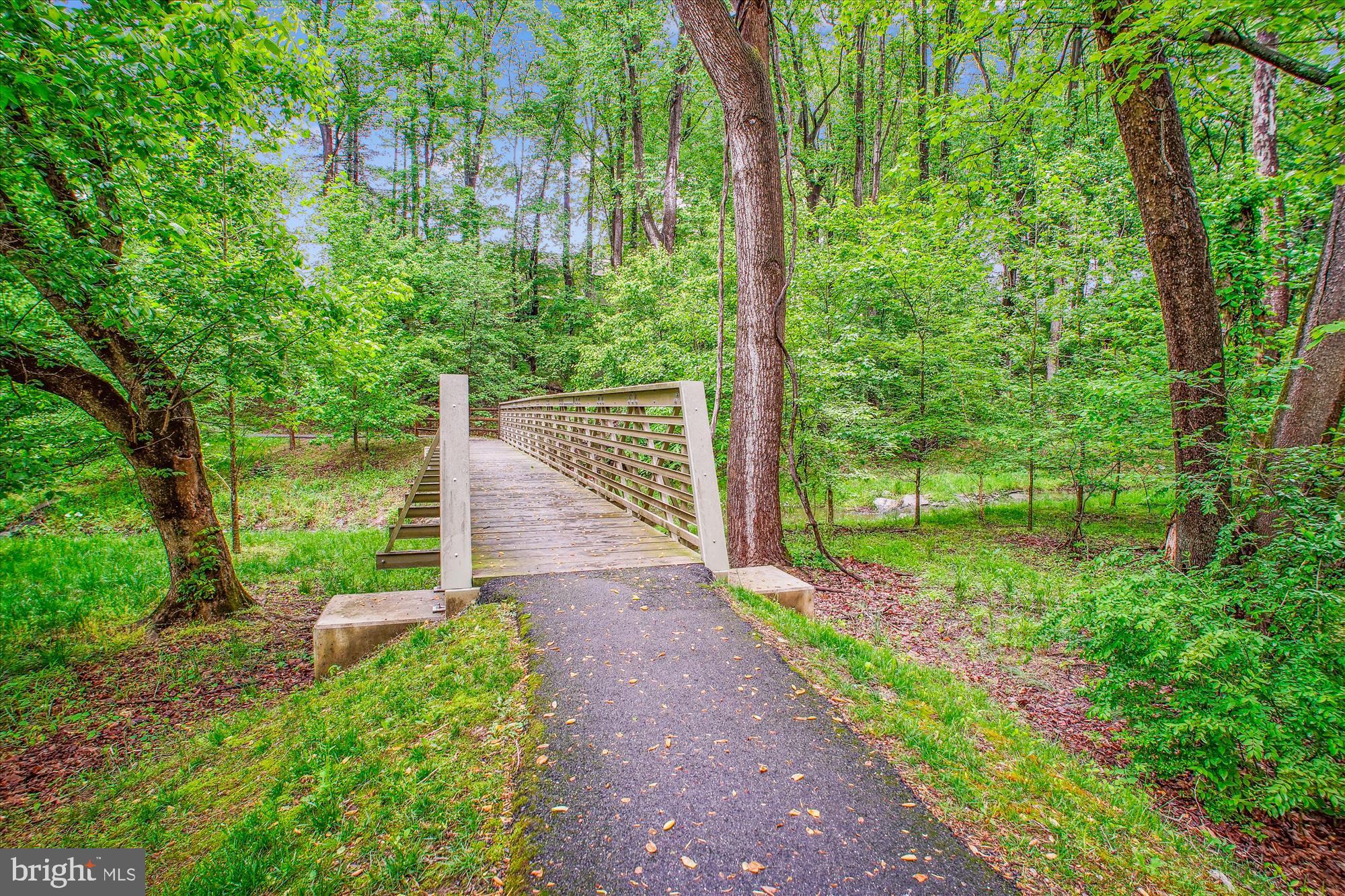 9437 Reach Road Potomac, MD 20854 - Photo 56 of 57 Park/Trails