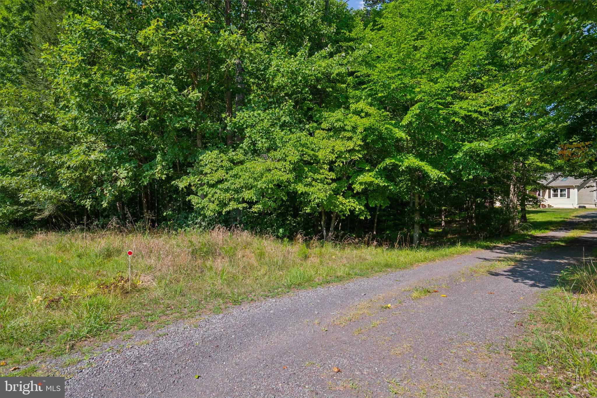 12559 Hazel River Road Rixeyville, VA 22737 - Photo 41 of 43