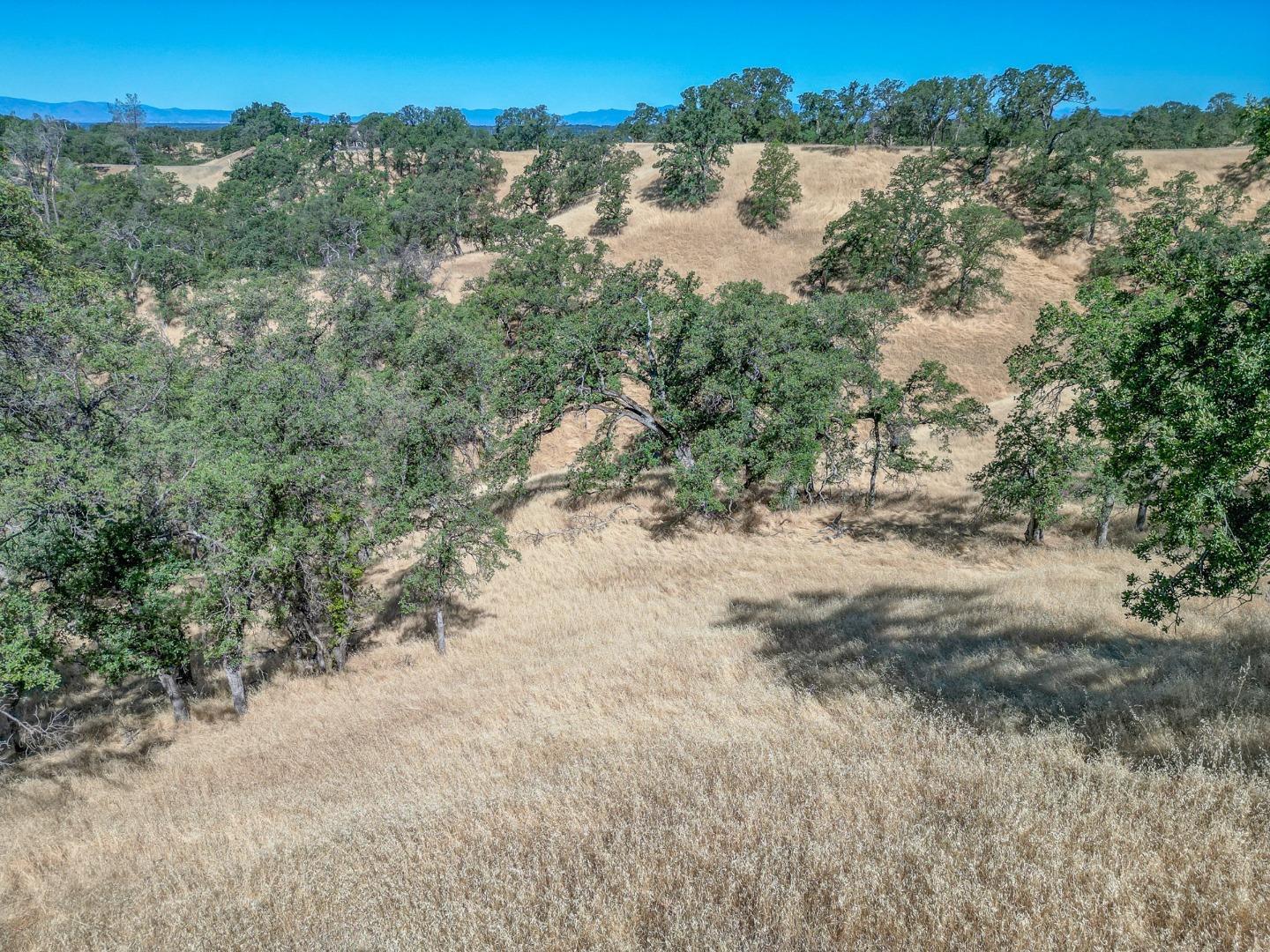 0 Wood Duck Pass Road Red Bluff, CA 96080 - Photo 15 of 22 a view of a lake with mountain view