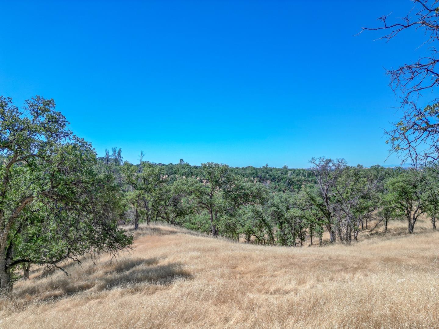 0 Wood Duck Pass Road Red Bluff, CA 96080 - Photo 16 of 22 a view of a dry yard with trees in the background