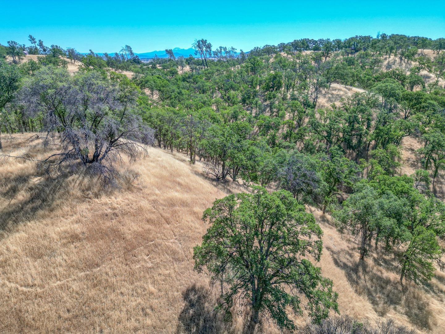 0 Wood Duck Pass Road Red Bluff, CA 96080 - Photo 20 of 22 an aerial view of a house with a yard