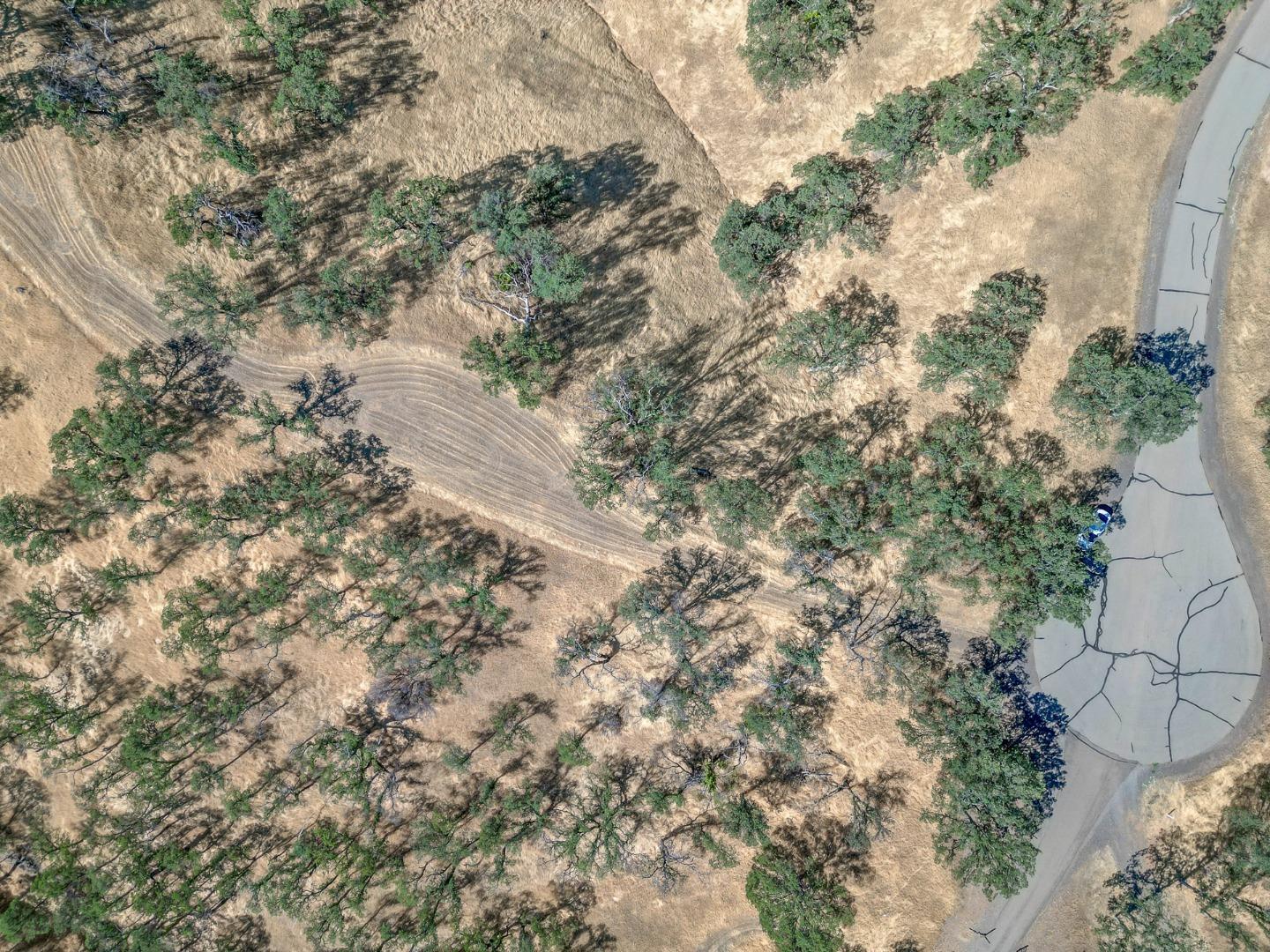 0 Wood Duck Pass Road Red Bluff, CA 96080 - Photo 4 of 22 a view of a yard with a tree