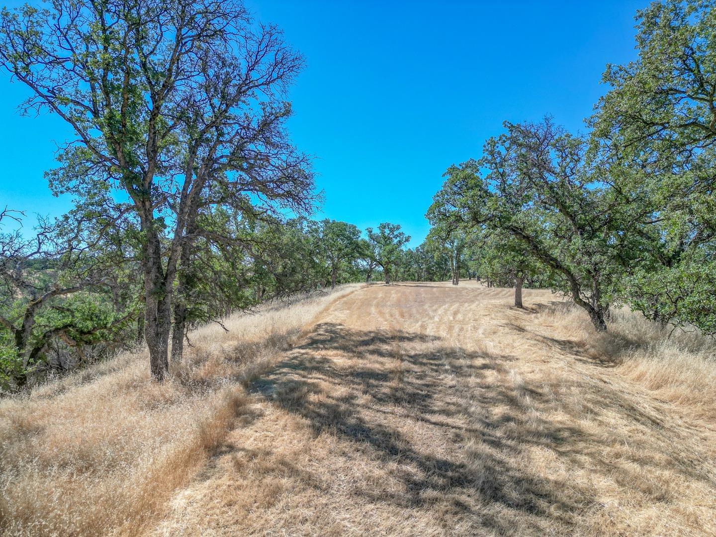 0 Wood Duck Pass Road Red Bluff, CA 96080 - Photo 7 of 22 a view of backyard with green space