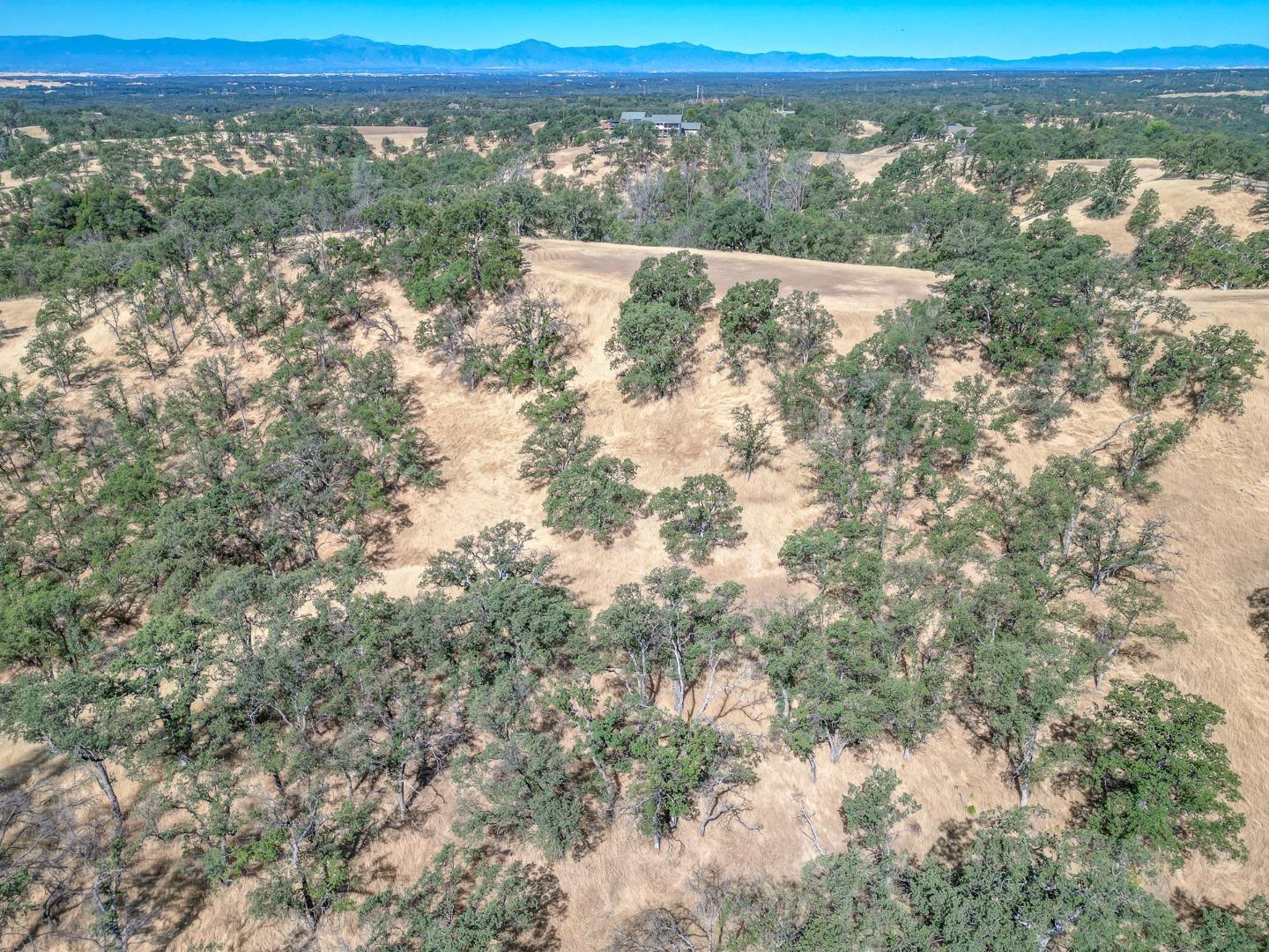 0 Wood Duck Pass Road Red Bluff, CA 96080 - Photo 10 of 22 a view of a yard from a yard