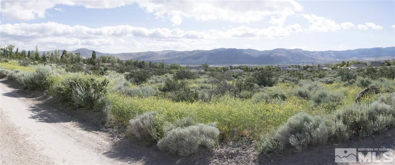 0 Bihler Reno, NV 89511 - Photo 1 of 1 a view of a back yard and mountains
