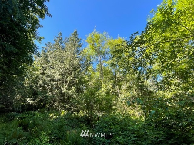0 Township Line Road Port Angeles, WA 98362 - Photo 13 of 16