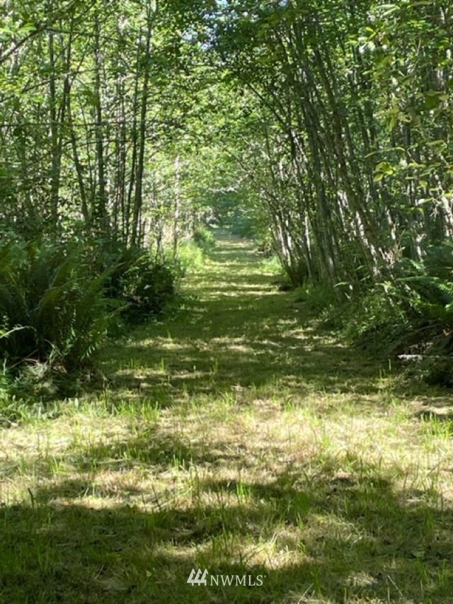0 Township Line Road Port Angeles, WA 98362 - Photo 3 of 16