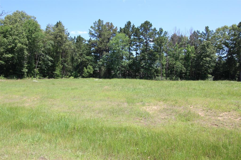0 Fountainbleau Road Keithville, LA 71047 - Photo 3 of 5 a view of a field with an trees in the background