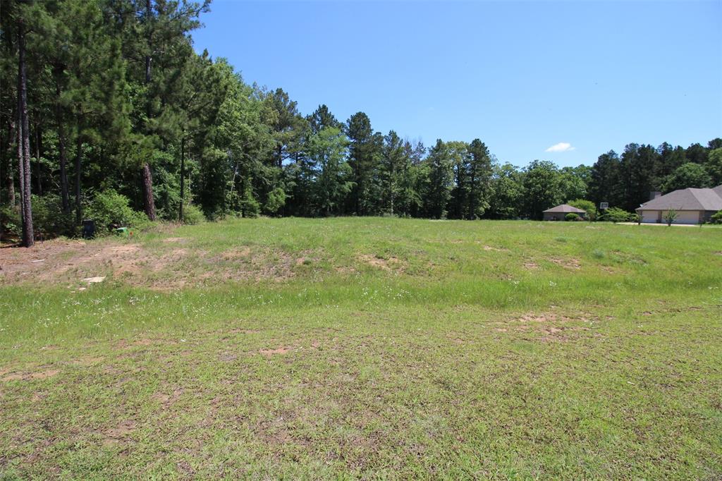 0 Fountainbleau Road Keithville, LA 71047 - Photo 4 of 5 a view of field with tall trees