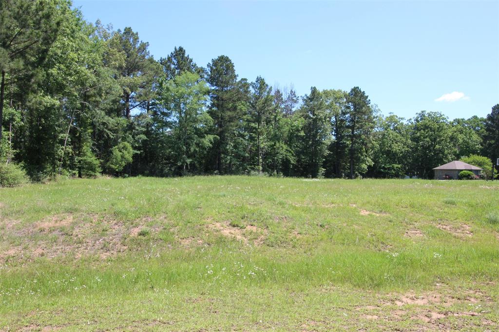0 Fountainbleau Road Keithville, LA 71047 - Photo 5 of 5 a view of a green yard with large trees