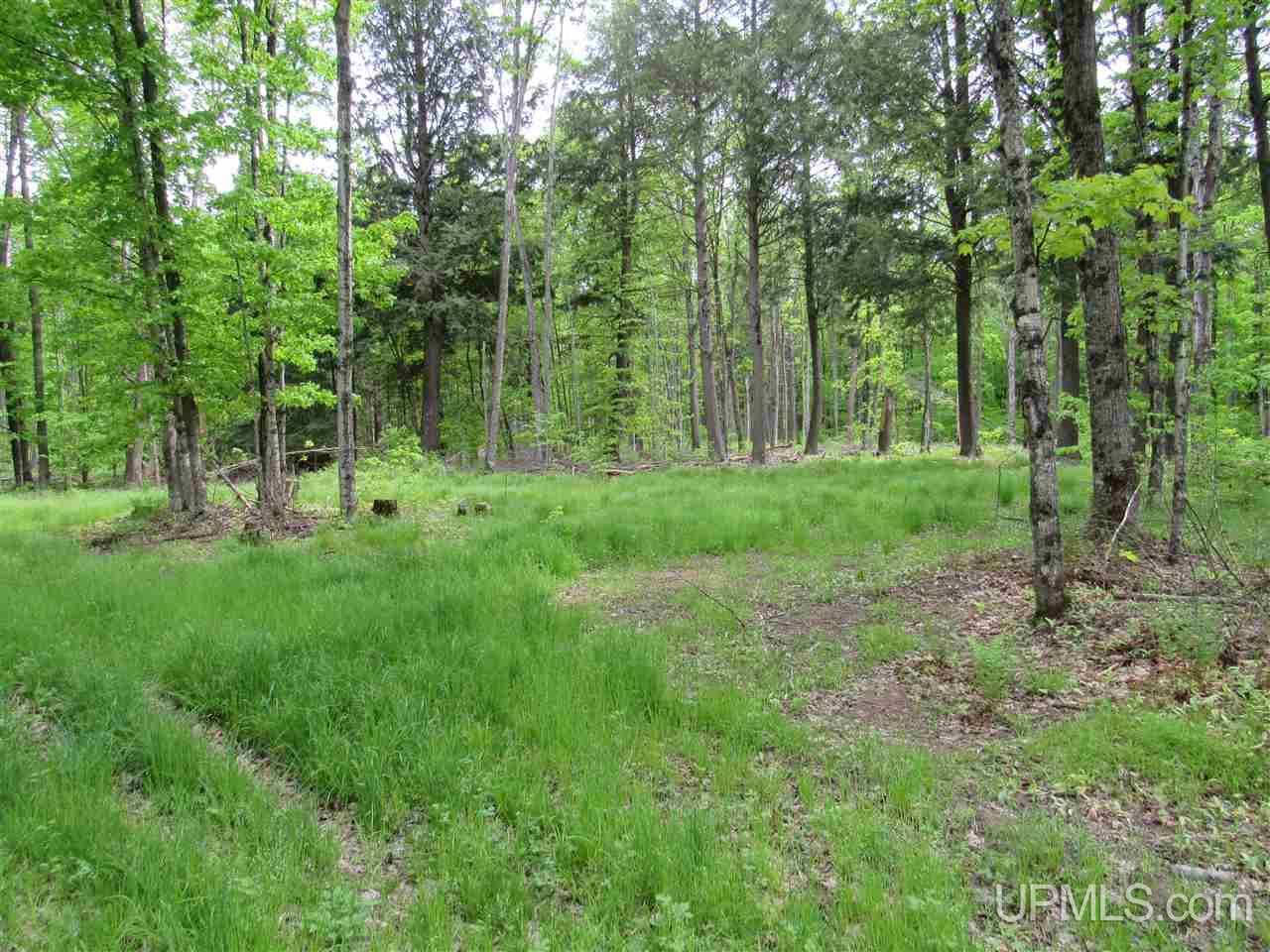 Tbd Co Rd 442, Unit 4 Rapid River, MI 49878 - Photo 9 of 10