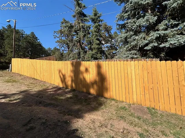 a view of tall trees