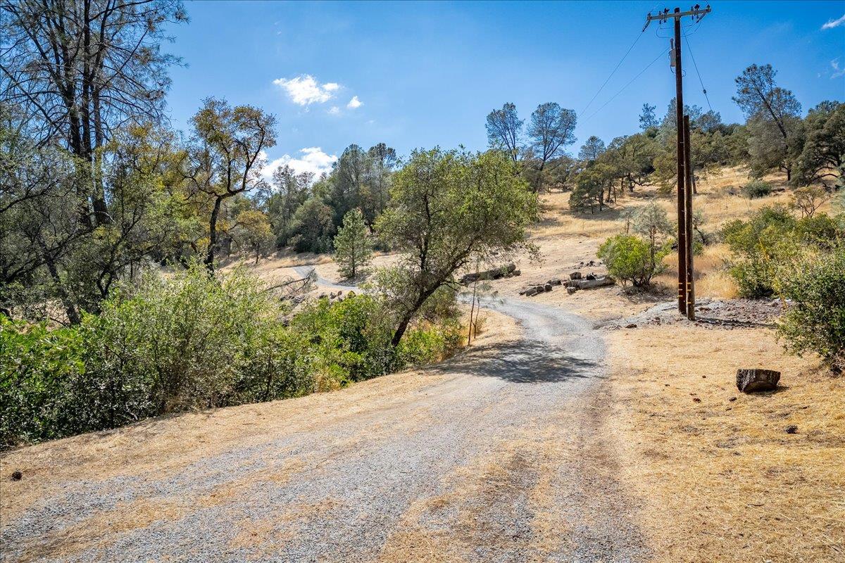 4751 Meadowview Acres Road Cool, CA 95614 - Photo 39 of 64 Gallery Image 39