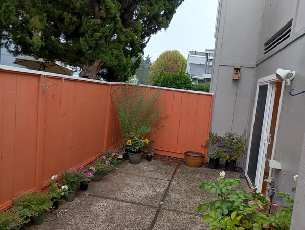 a backyard of a house with flower plants