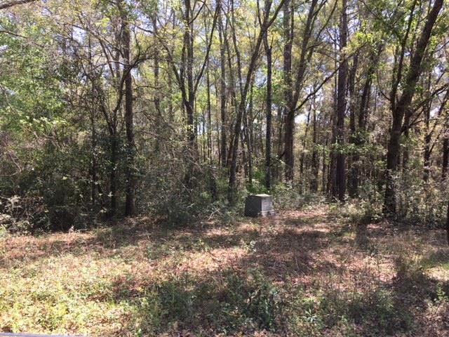 13158 Highway 98 Foley, AL 36535 - Photo 5 of 10