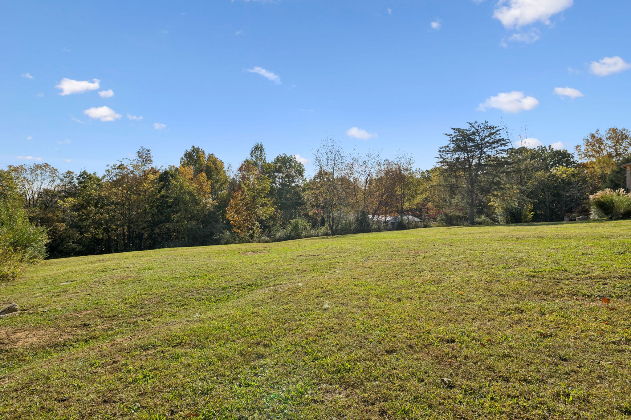 6060 Washer Road Lyles, TN 37098 - Photo 29 of 43 a view of outdoor space and yard