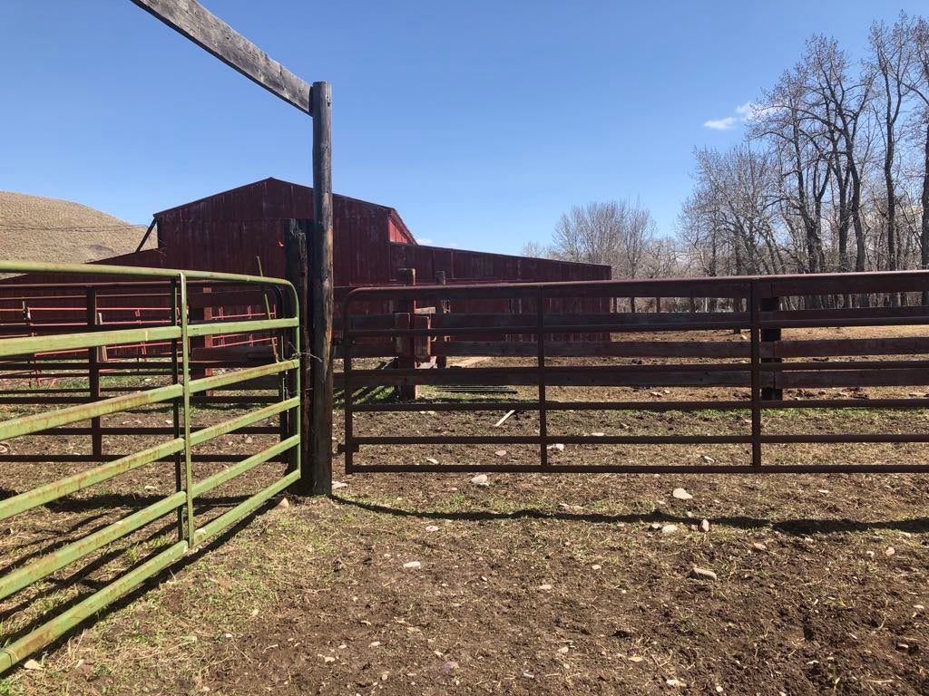470 Duck Lake Road Browning, MT 59417 - Photo 29 of 38 Gallery Image 29