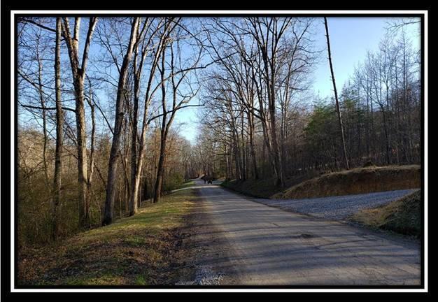 0 Harrison Road Jackson, OH 45640 - Photo 2 of 50 image002