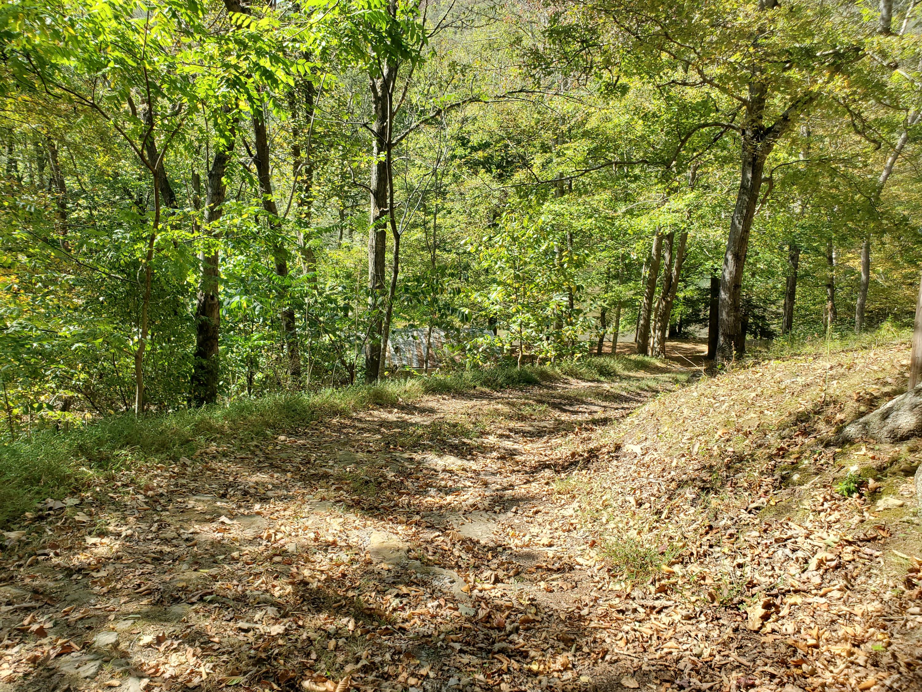1053 Bacon Falls Road Talcott, WV 24981 - Photo 9 of 22 Gallery Image 9
