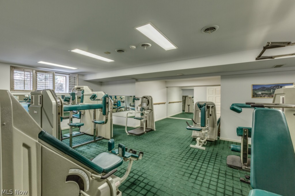 4460 Sherwin Road Willoughby, OH 44094 - Photo 21 of 25 HOME GYM IN LOWER LEVEL