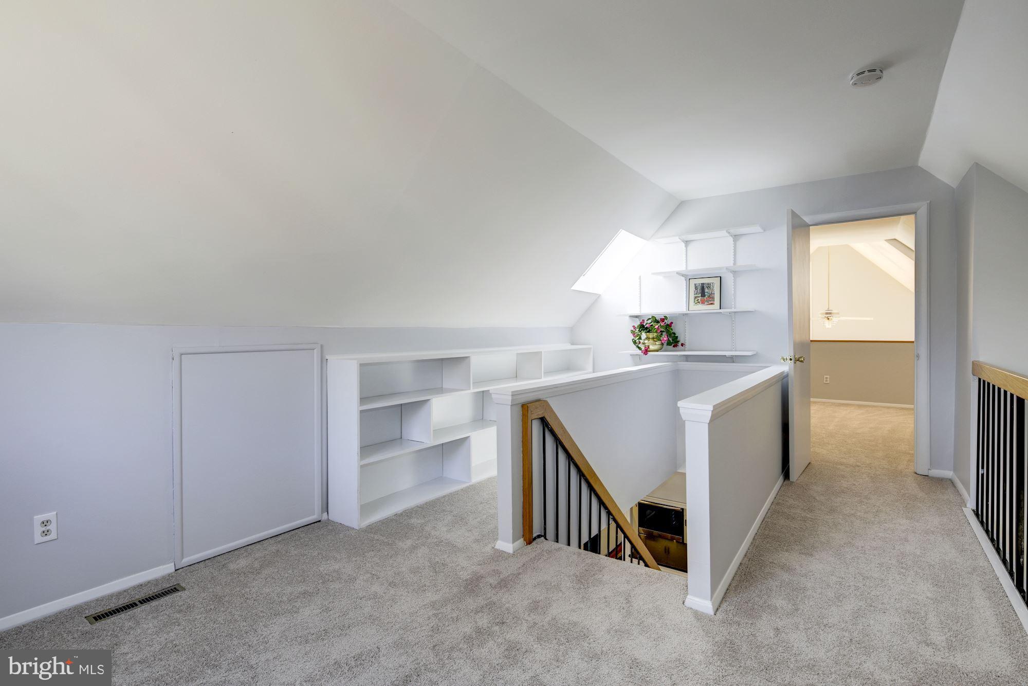 9510 Good Lion Road Columbia, MD 21045 - Photo 37 of 63 DIDE ACESS FOR MORE STORGE AND SKYLIGHT