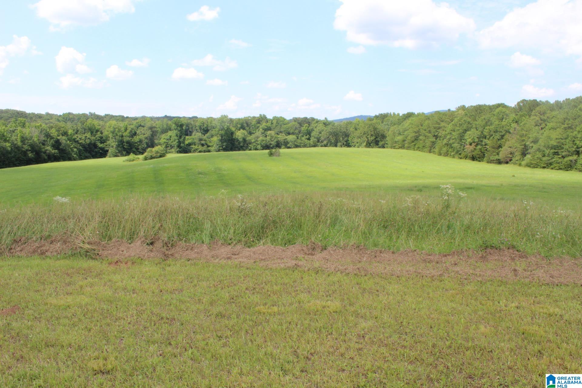 2865 Jenifer Road Munford, AL 36268 - Photo 45 of 47