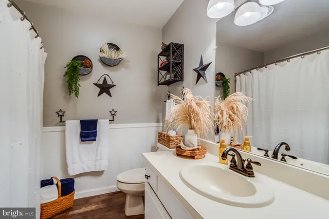 a bathroom with a sink mirror and toilet