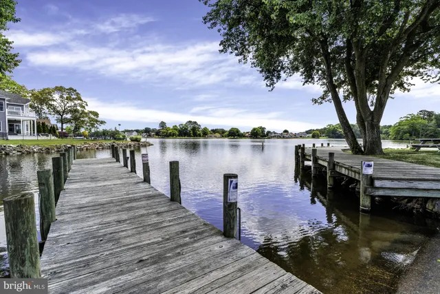 a view of a lake with houses in the back