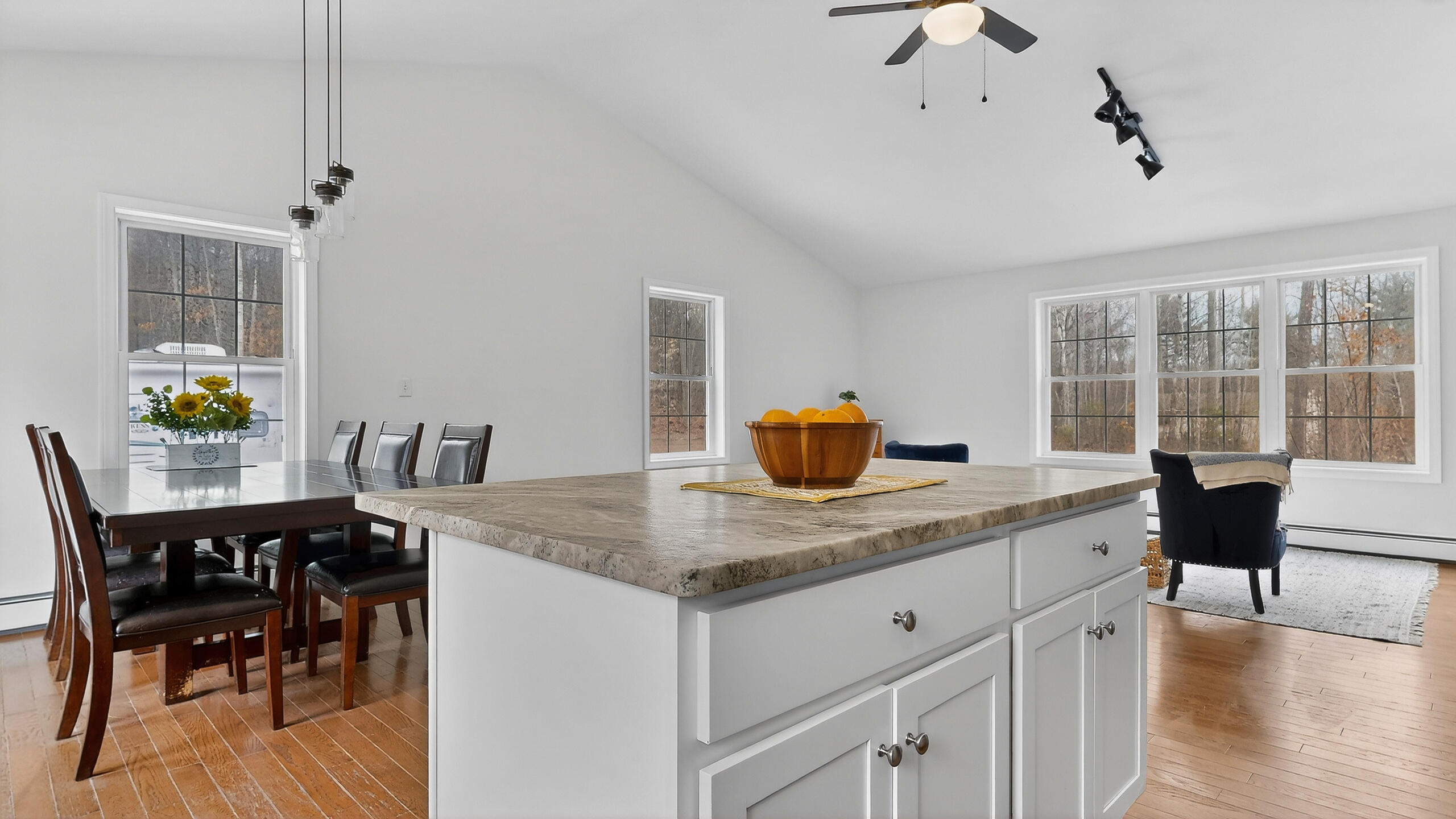 347 Quaker Ridge Road Casco, ME 04015 - Photo 22 of 55 347-Quaker-Ridge-Road-Casco-03262026_171