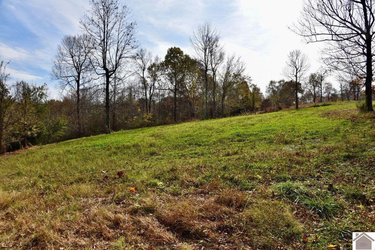 0 Goodsprings Road Fredonia, KY 42411 - Photo 17 of 33 Photo 17