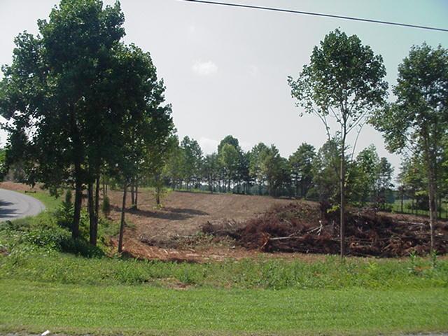 Lot 2 Indian Road Henry, VA 24102 - Photo 1 of 9 a view of a backyard