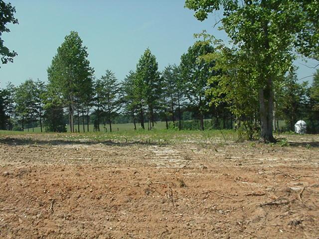 Lot 2 Indian Road Henry, VA 24102 - Photo 5 of 9 a backyard of a house with lots of green space