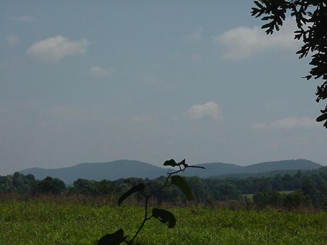Lot 2 Indian Road Henry, VA 24102 - Photo 8 of 9 a view of lake and mountain view