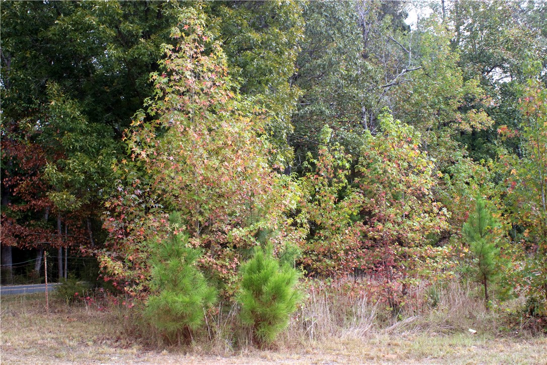 0 First Creek Road Anderson, SC 29621 - Photo 11 of 19