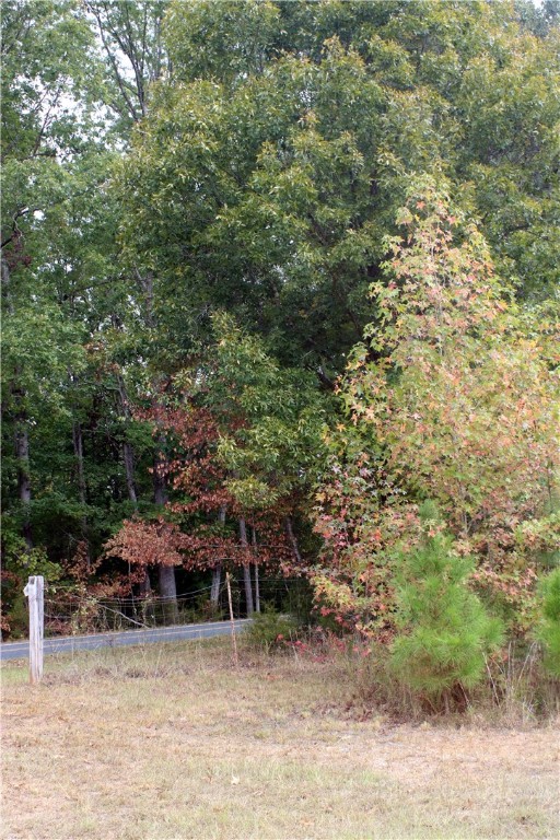 0 First Creek Road Anderson, SC 29621 - Photo 12 of 19